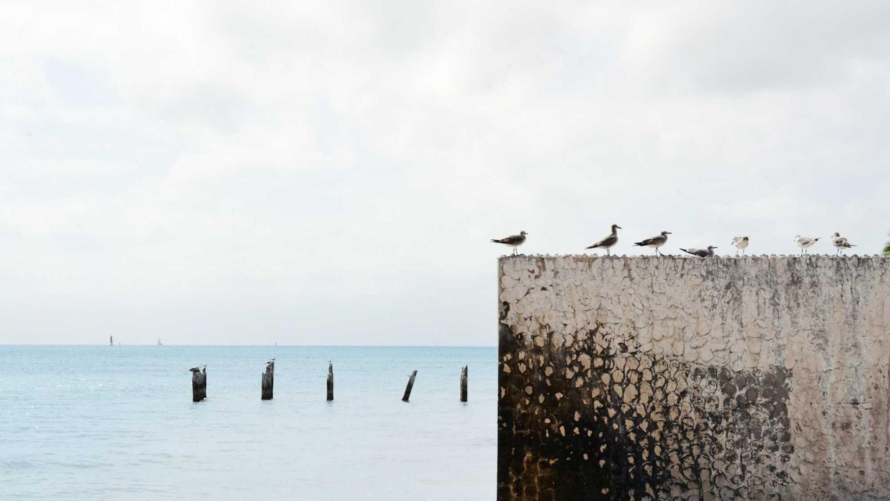 苏宁互联实名账号:苹果app详情下载教程不了软件需要验证