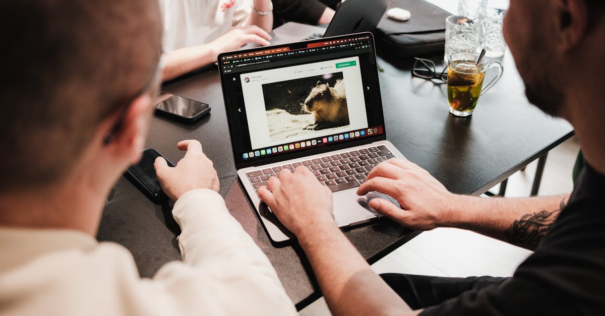 凤凰娱乐，注册|从竞争对手中学习：企业营销的关键领导者