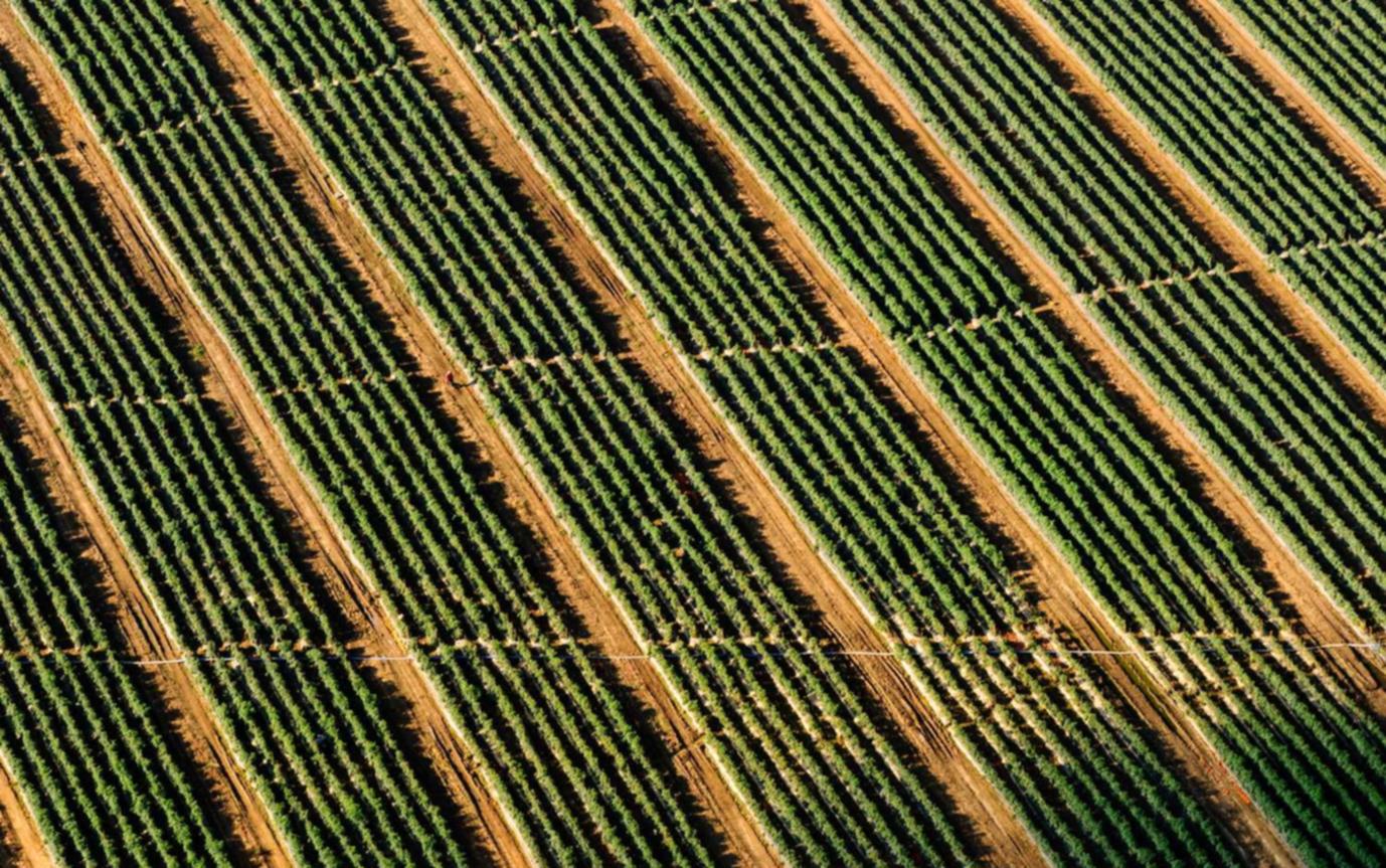 免费攻击网站|如何正确的分享关于黑客攻击的信息