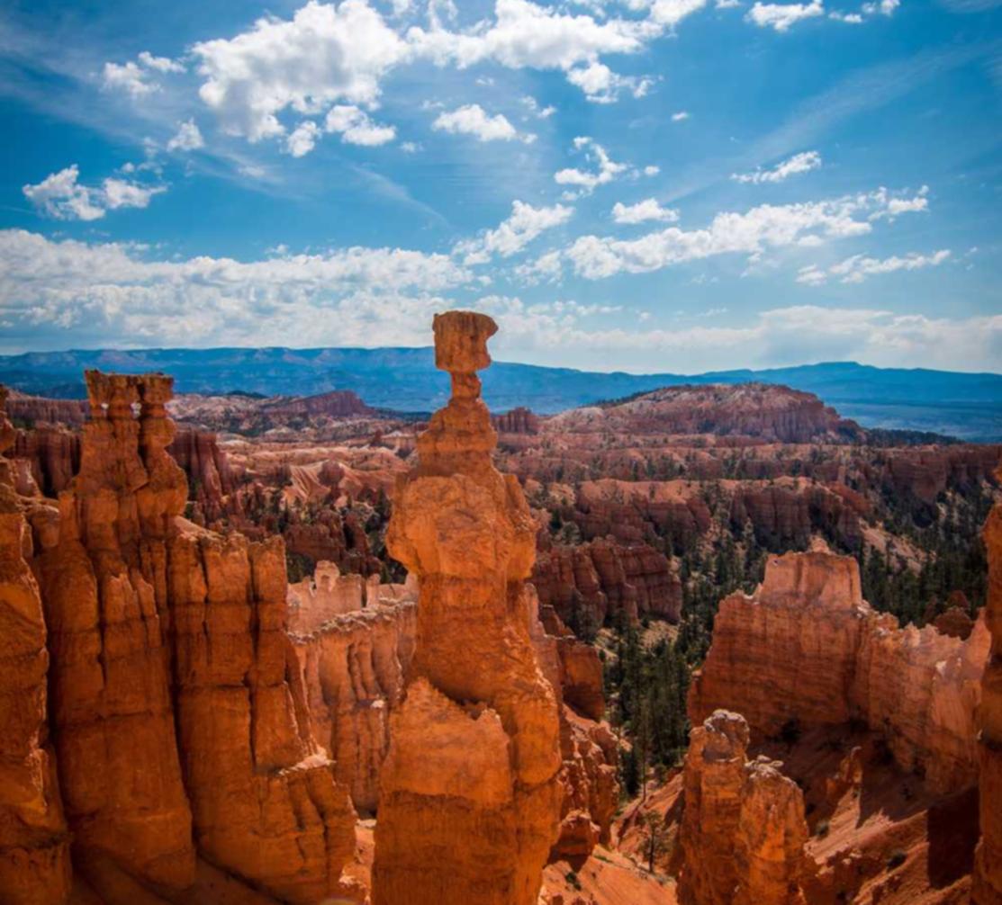 个人-企业版ChatGPT网站部署开店记