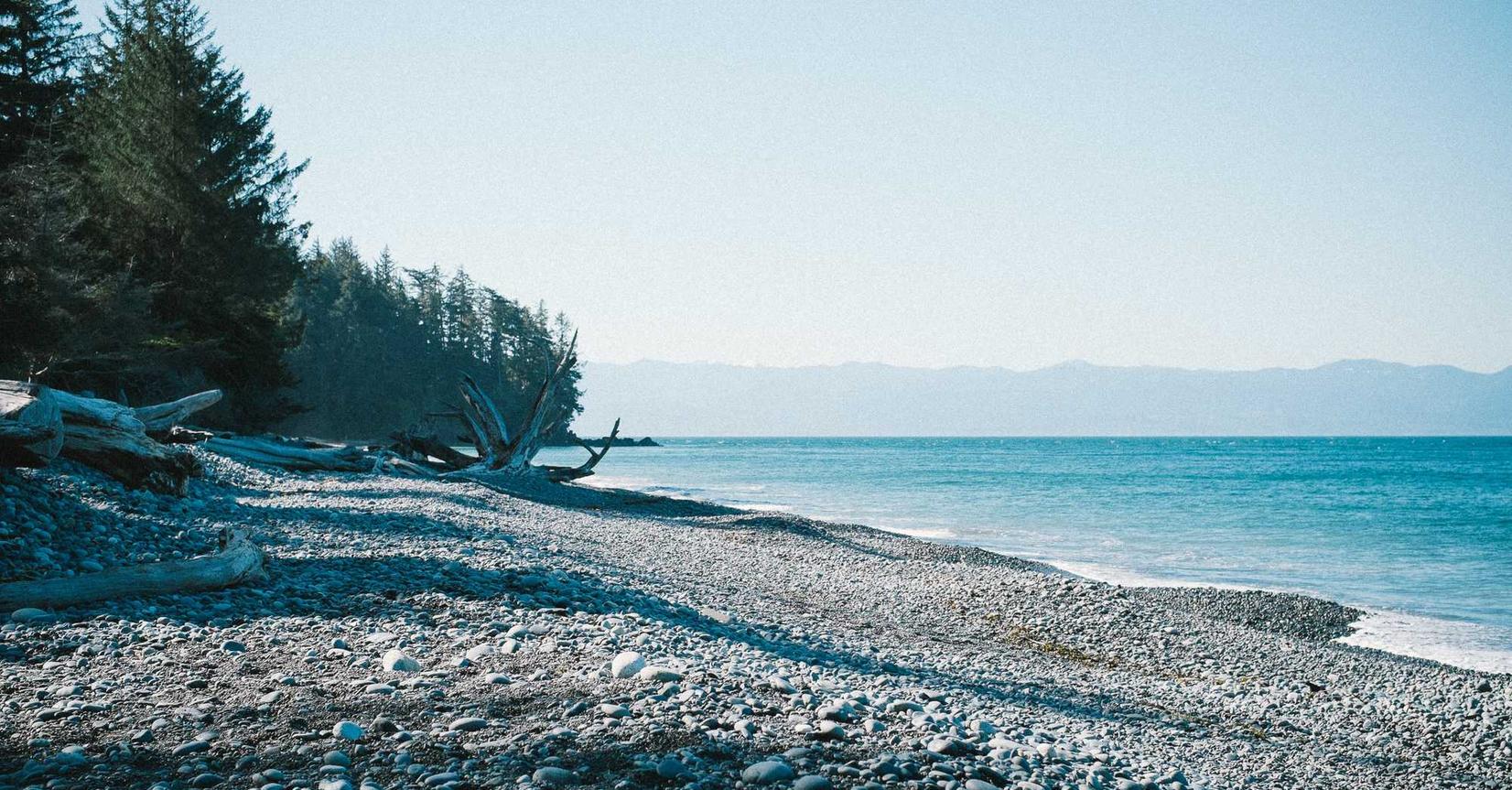 了解游戏技术支持辅助软件有助于提高游戏安全性