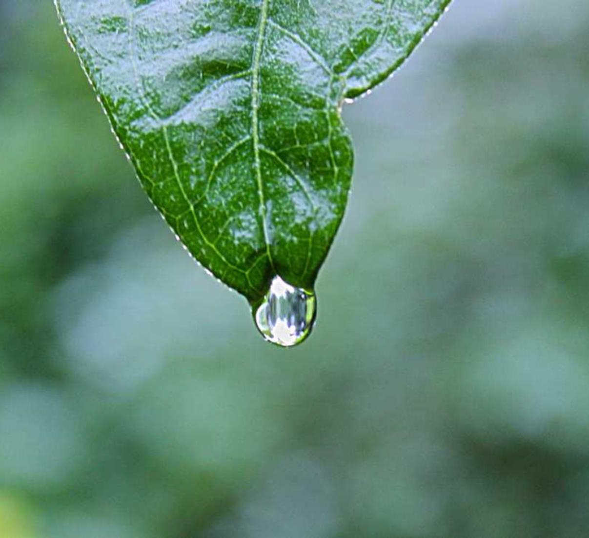 枫之谷m:代理公司注册可信度高吗