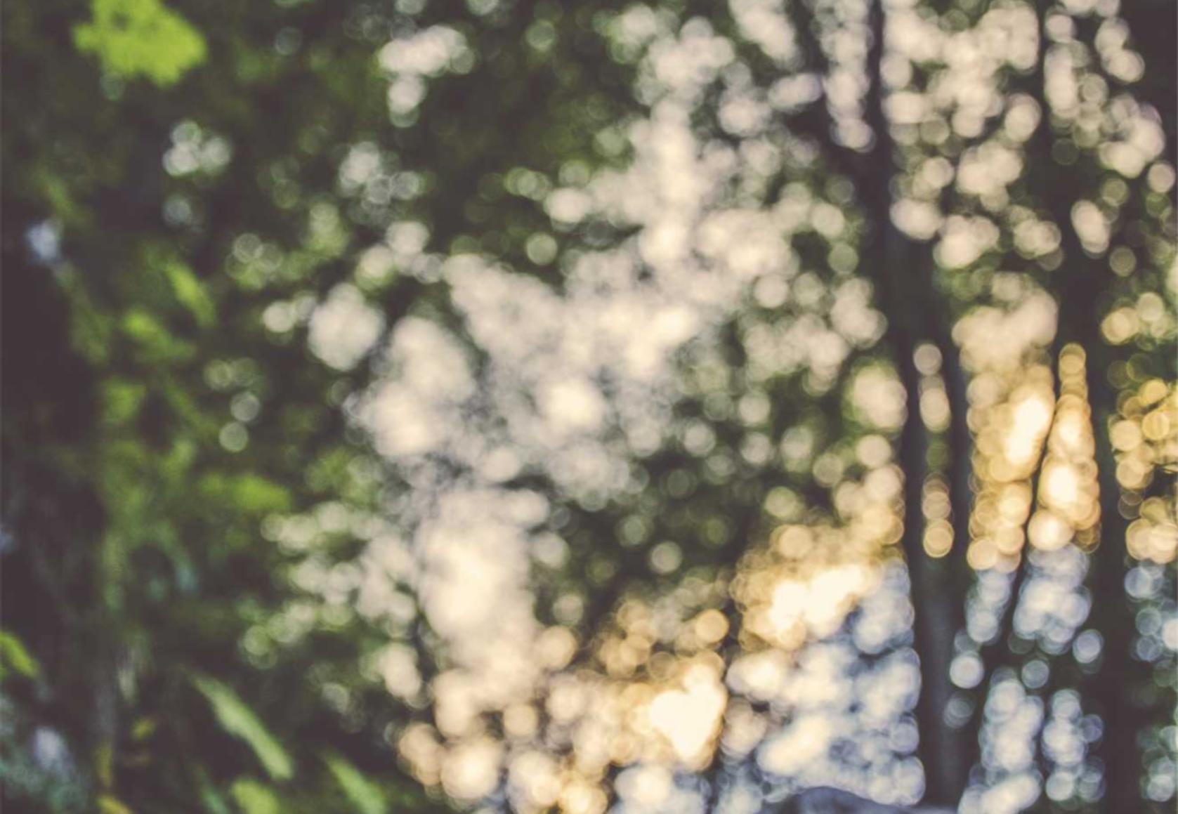 明日之后:网站账号注册代理