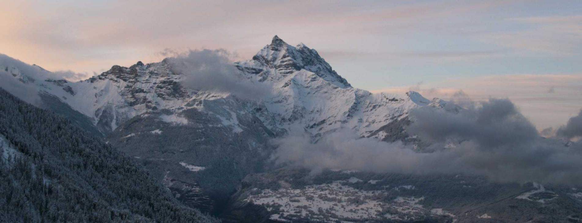 cc网页端|考研界app详情下载教程