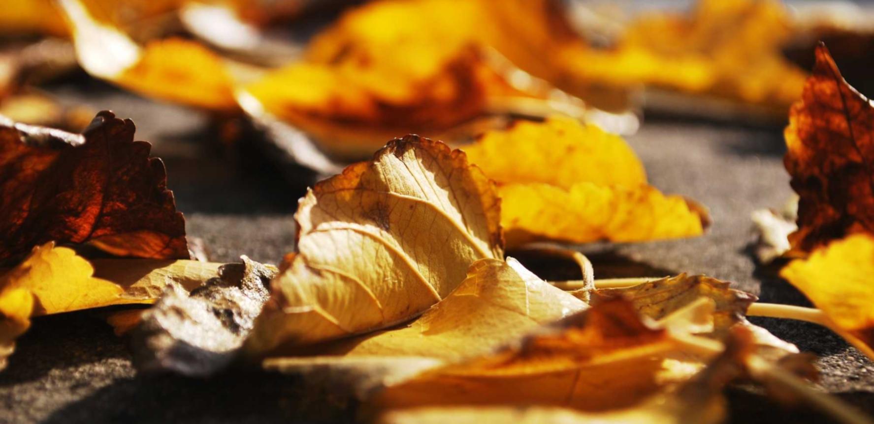 魔方云实名账号:谷歌手机账号注册