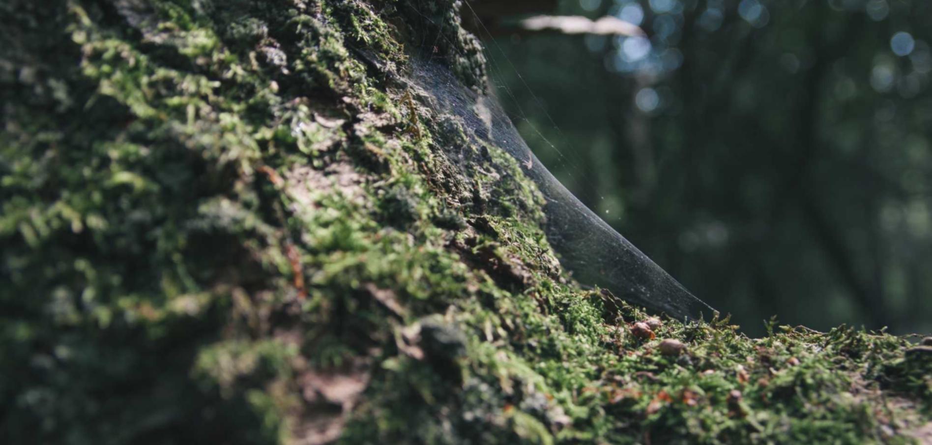 亚游娱乐，注册|网上代理期货开户平台