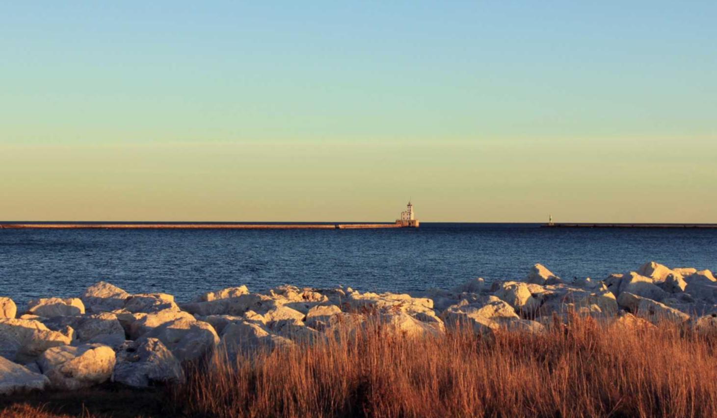 罗密欧2号(15支)(5盒):德惠天下app详情下载教程