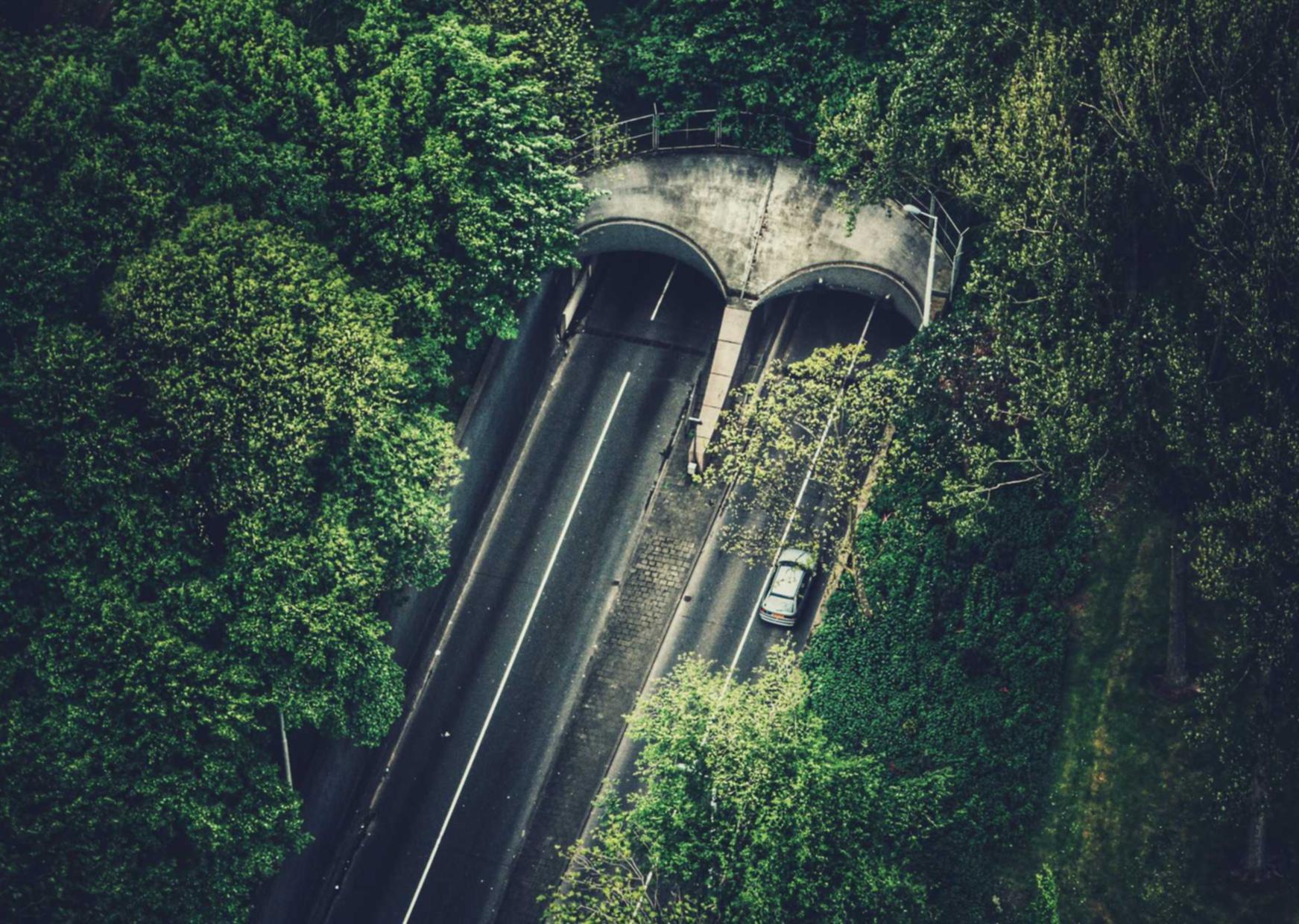 木盒红沉香（粗）：详情下载教程 国外 app