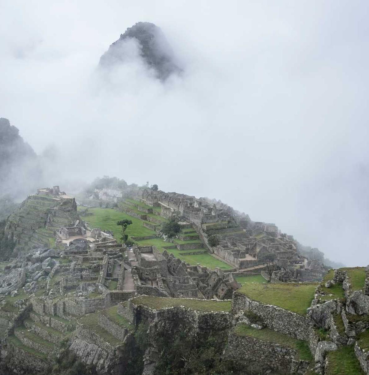 技术支持与合法软件的区别是什么?