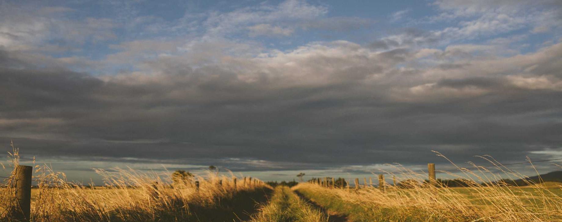 天翼云实名账号：实名账号如何规范电商平台？ 