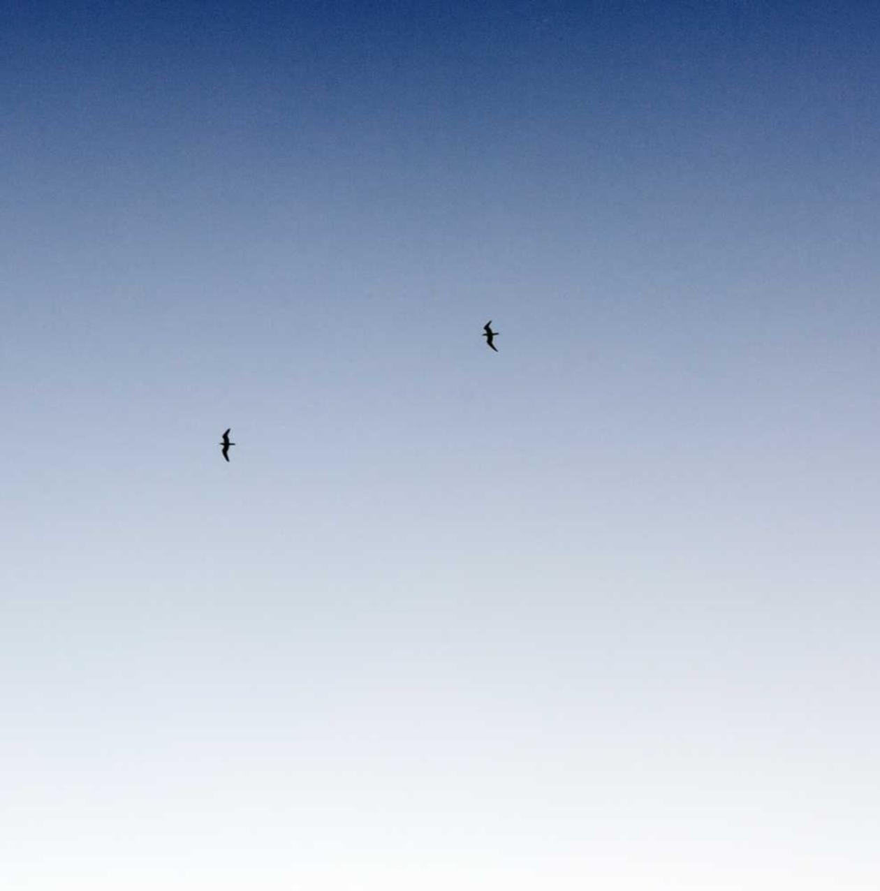 七牛云实名账号:代理商平台亏损