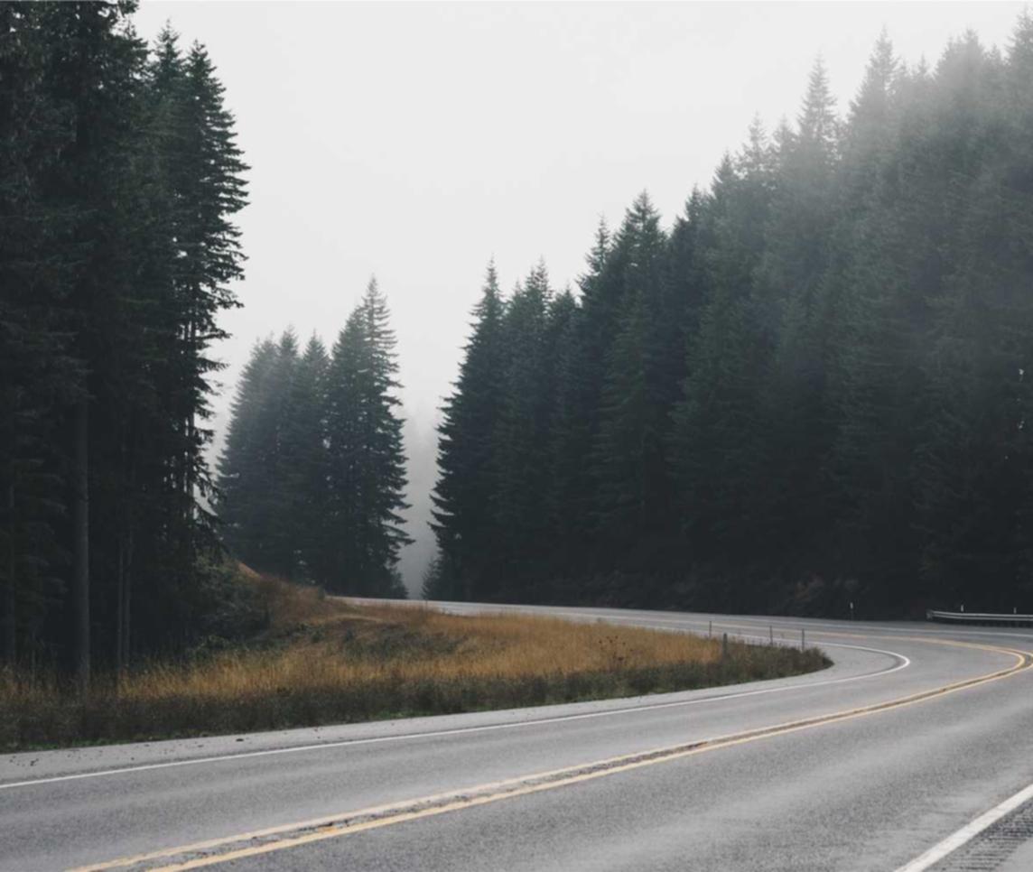 缅甸忠告图七星蓝莓：北京健康码app官网详情下载教程